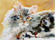 Marie Natale Watercolor Pets & Animals