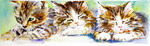Marie Natale Watercolor Pets & Animals
